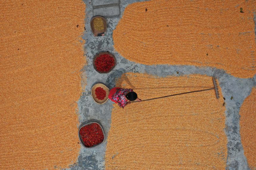 村民正在晾曬糧食。趙勇攝