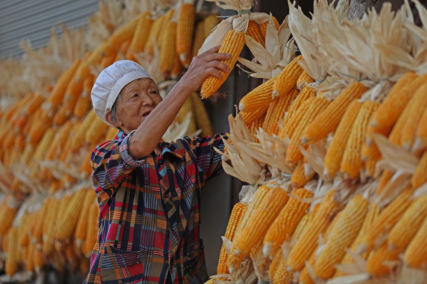村民正在晾曬糧食。趙勇攝