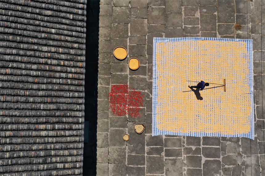 重慶市黔江區(qū)小南海鎮(zhèn)橋梁村古楓寨村民在晾曬玉米、辣椒、花生等農(nóng)作物。 楊敏攝