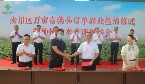 簽訂訂單?！按宕逋惫﹫D