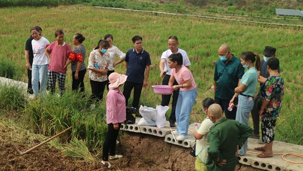 種植技術(shù)培訓(xùn)?！按宕逋惫﹫D