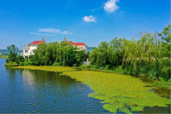 濕地美景。余先懷攝