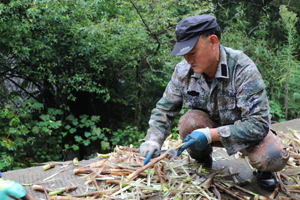 農(nóng)戶正在剝竹筍。郭凡攝