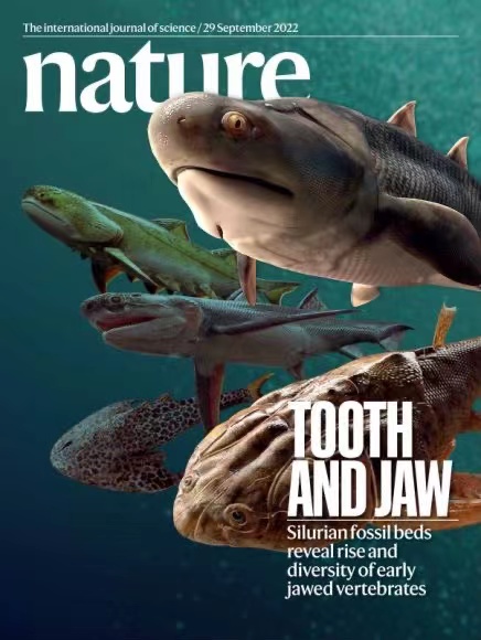 國際頂級學(xué)術(shù)期刊《Nature》封面。重慶市規(guī)劃和自然資源局供圖