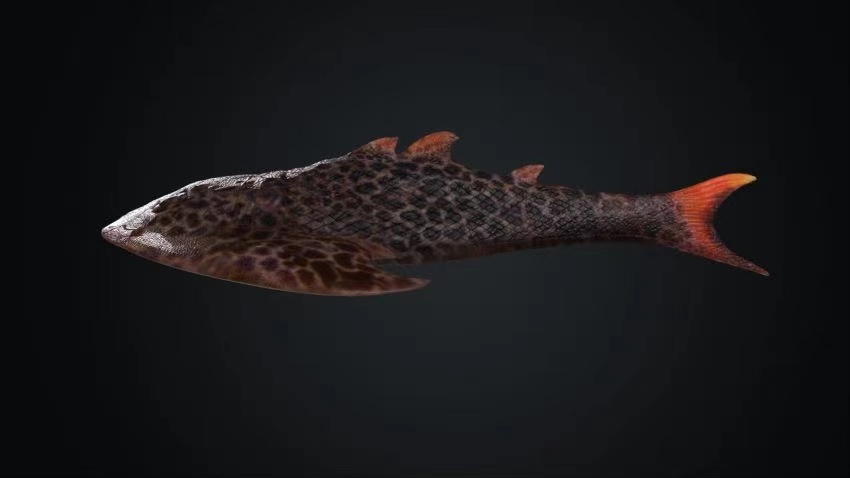 靈動土家魚復(fù)原圖。重慶市規(guī)劃和自然資源局供圖