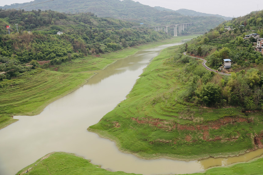 長江支流梨香溪兩岸長滿了綠油油的嫩草。楊孝永攝