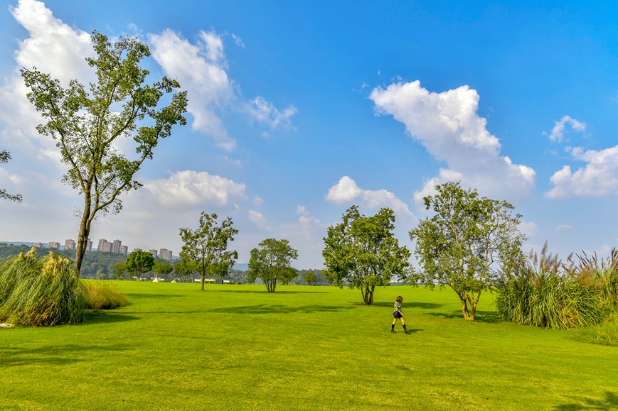 秋色迷人的重慶廣陽(yáng)島。崔景印攝