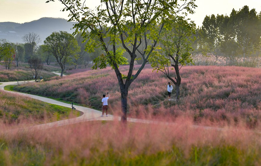 秋色迷人的重慶廣陽(yáng)島。崔景印攝