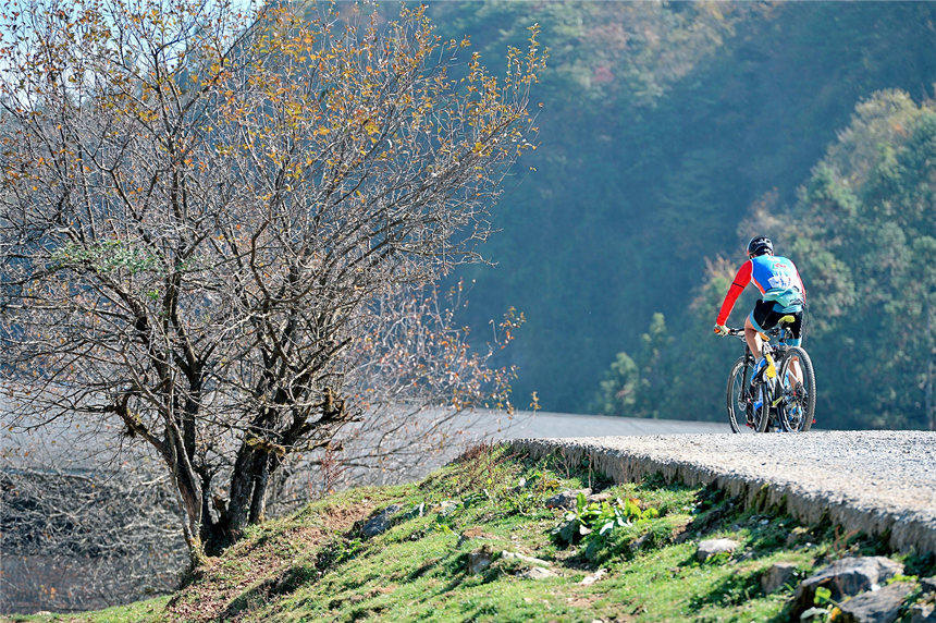 運動員在比賽中。