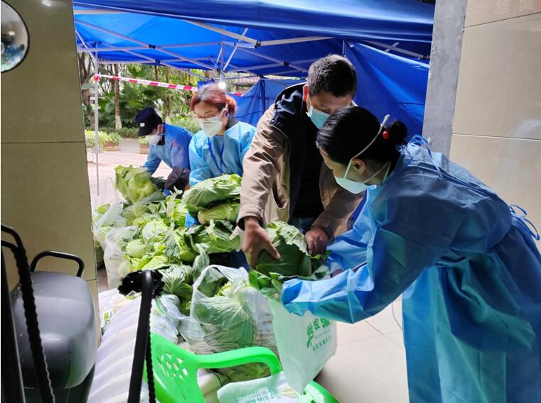 巴渝民宿集團所屬渝地物業(yè)公司七季城項目工作人員聯(lián)系蔬菜供應商為業(yè)主提供2噸白菜，做好生活物資保障。渝地物業(yè)供圖