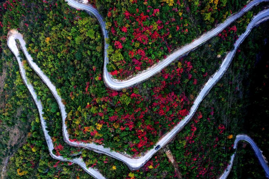 重慶市巫山縣竹賢鄉(xiāng)下莊村初冬景色。王忠虎攝