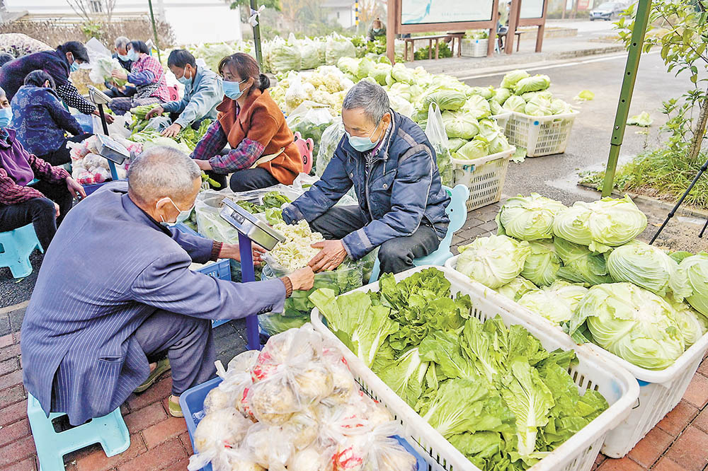 分揀 11月23日，天險洞村蔬菜包臨時分揀點，村民在分揀蔬菜。