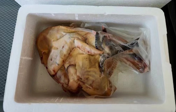 銅梁黑雞。銅梁區(qū)供銷合作社供圖