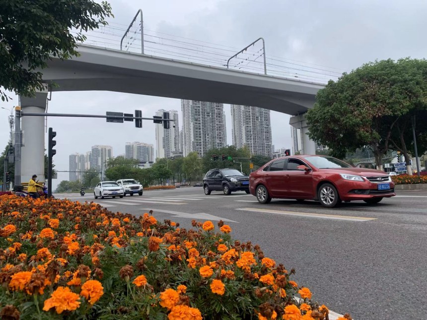 重慶高新區(qū)街頭的車輛有序出行。雷鍵攝