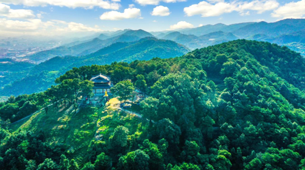 城市“肺葉”中梁山。九龍坡區(qū)委宣傳部供圖