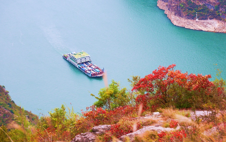 船只航行在紅葉映襯下的長江巫峽水域。盧先慶攝