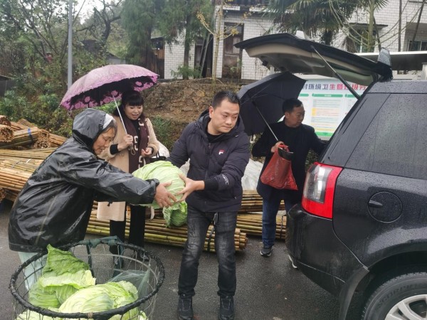 餐飲企業(yè)上門收購蔬菜。譚鳳攝