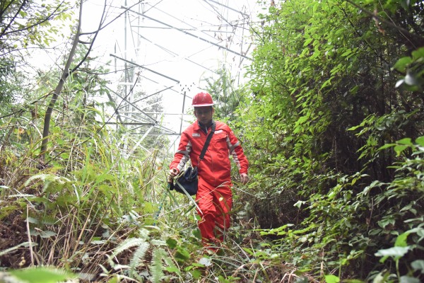 巡檢工作中的曹斌。譚沁心攝