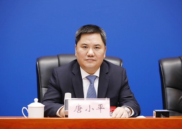 重慶市人大代表、沙坪壩區(qū)委書記唐小平發(fā)言。華龍網(wǎng)供圖