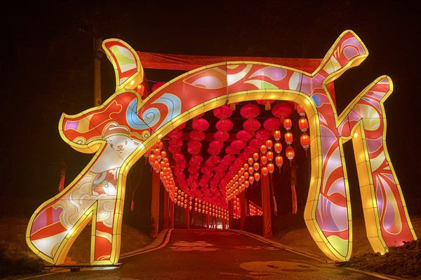 去梁平品民俗賞花燈。梁平區(qū)委宣傳部供圖