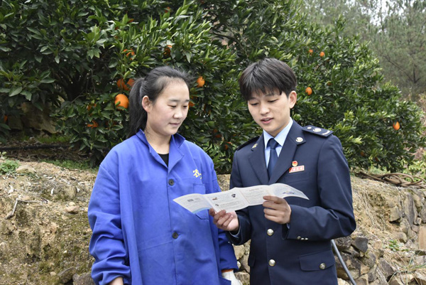 重慶奉節(jié)縣稅務(wù)局工作人員走進重慶火紅農(nóng)業(yè)科技有限公司的臍橙種植基地，為企業(yè)人員宣傳輔導(dǎo)稅收優(yōu)惠政策。王曉婧攝