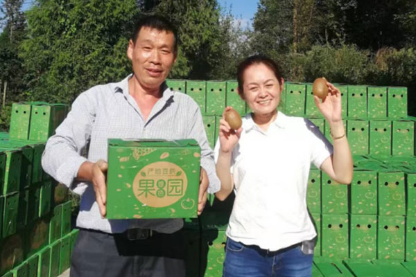 獼猴桃熟了。重慶市第十三人民醫(yī)院供圖