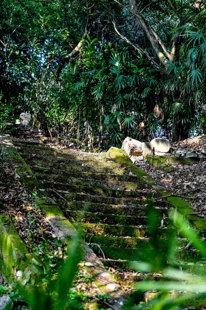 礦山公園內(nèi)曲徑通幽。曹鳴鷗攝