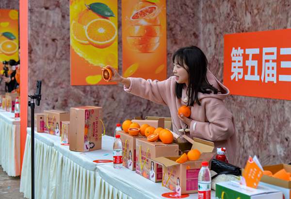 譚裕薰進(jìn)行直播帶貨。付作橋攝