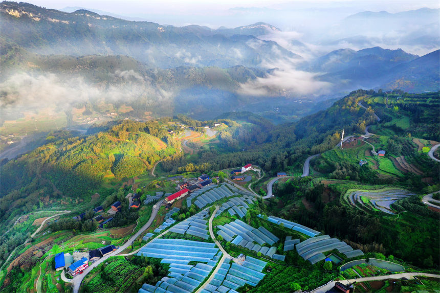 俯瞰重慶萬盛經(jīng)開區(qū)黑山鎮(zhèn)南門村大棚獼猴桃、瓜果基地。 曹永龍攝