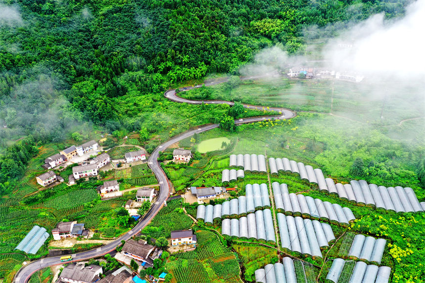 俯瞰重慶萬盛經開區(qū)黑山鎮(zhèn)南門村大棚獼猴桃、瓜果基地。曹永龍攝
