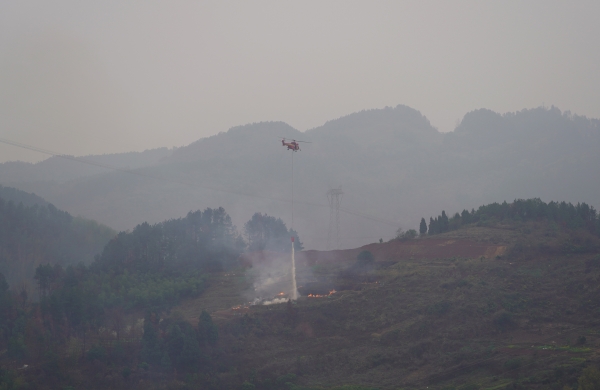 直升機(jī)高空投水滅火作業(yè)。吳莉攝