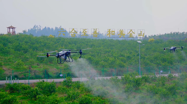 無人機在作業(yè)中。大足區(qū)委宣傳部供圖