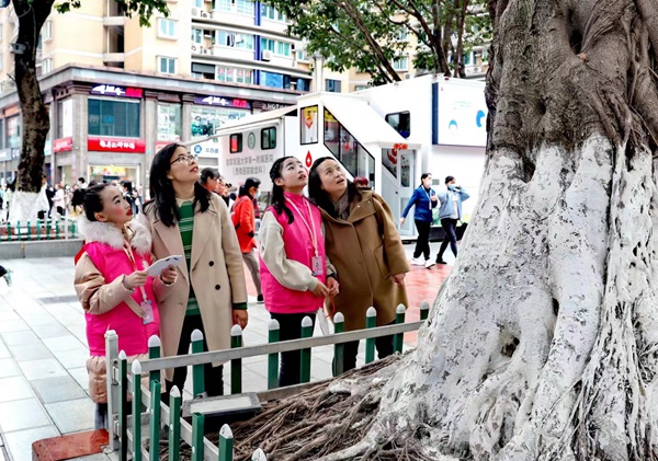 小朋友和家長一起尋找古樹。共青團重慶市委供圖