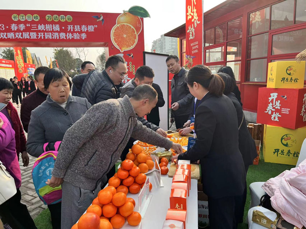 活動現(xiàn)場市民爭相品嘗“開縣春橙”。蔣海濤攝