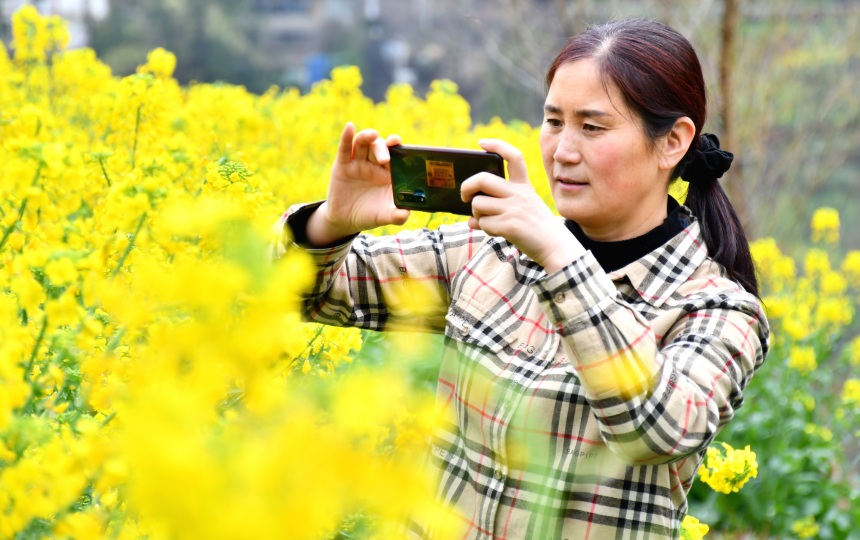 游人在油菜花海里游玩。張瑜洋攝