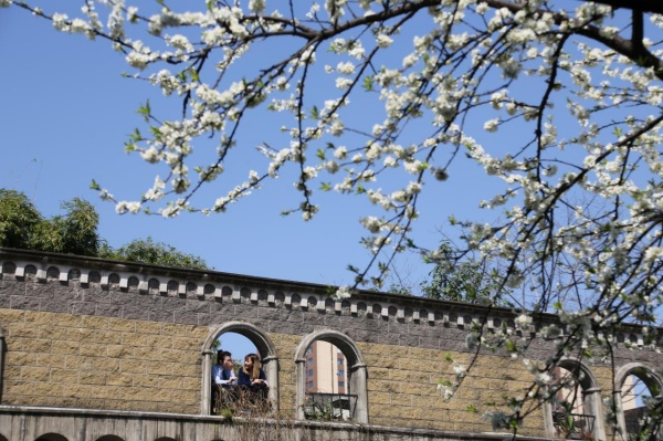 市民在工廠內(nèi)打卡游玩。美心集團供圖