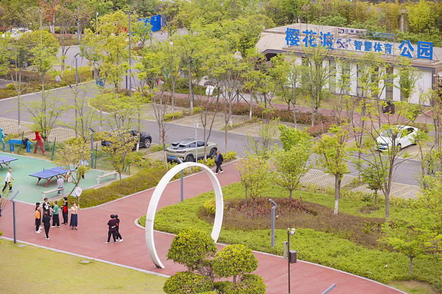 櫻花渡公園遍布綠意，成為濱江休閑打卡地。曾英豪攝