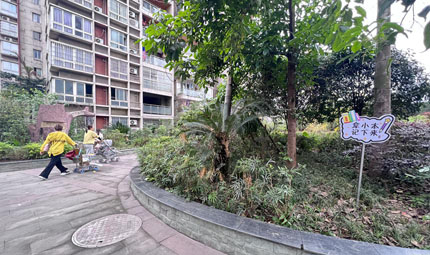                                           重慶璧山：黨建統(tǒng)領(lǐng)小區(qū)"自治" 疏通基層"神經(jīng)末梢"                            胡虹 2023年04月25日                              小區(qū)是基層的“神經(jīng)末梢”，城市治理的“最后一公里”。社區(qū)服務(wù)的“最后一百米”也在居民小區(qū)?！?6棟前的大樹長到家里面了，希望能夠及時修枝?！薄斑\動廣場周邊可以加裝圍欄，讓乒乓球和羽毛球不掉落外面?！薄捌邨澩鈮εK污嚴(yán)重，影響人居環(huán)境，建議清理?！?#13;                【詳細(xì)】                           