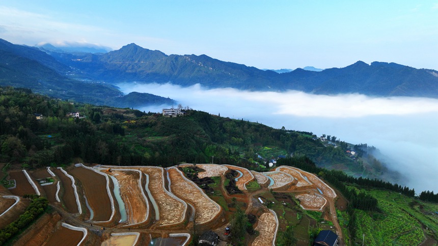 新修復(fù)墾的梯田與青山綠野相映成趣。曹永龍攝