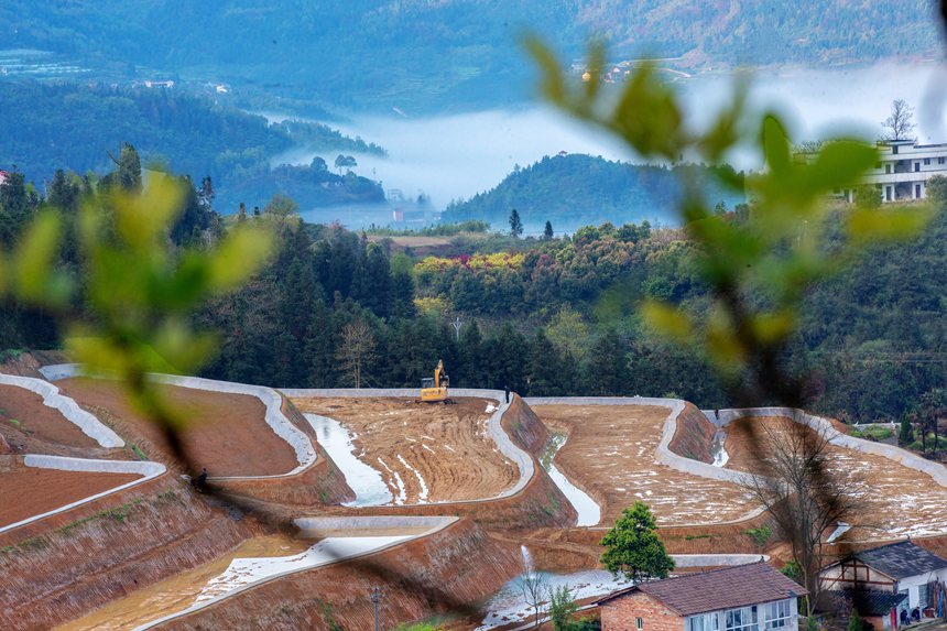 新修復(fù)墾的梯田與青山綠野相映成趣。曹永龍攝