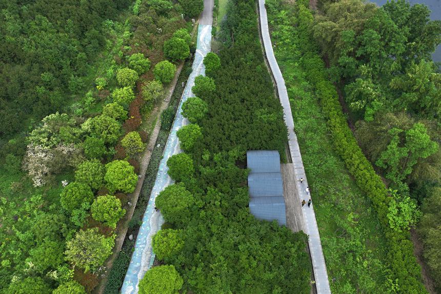 阿蓬江國家濕地公園。楊敏攝