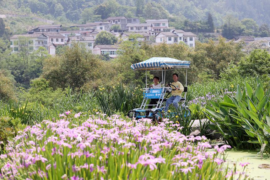 游客在馮家街道寨子社區(qū)游玩。楊敏攝
