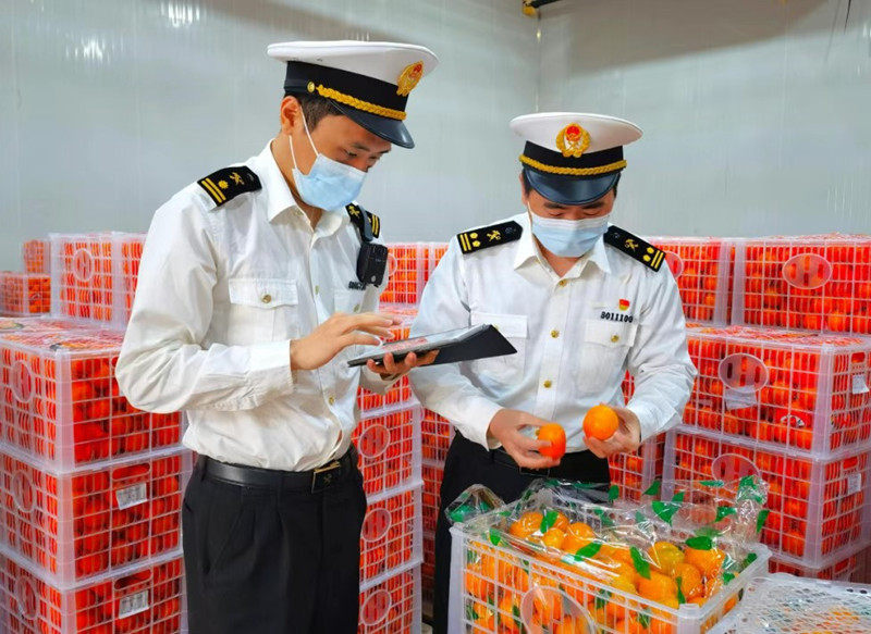 重慶海關(guān)與南寧海關(guān)共同落實(shí)鮮活易腐貨物“6小時(shí)通關(guān)”要求，保障生鮮商品快速驗(yàn)放。重慶海關(guān)供圖