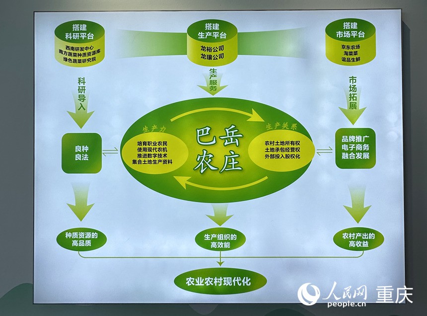 “巴岳農(nóng)莊”運(yùn)作示意圖。人民網(wǎng)記者 劉政寧攝