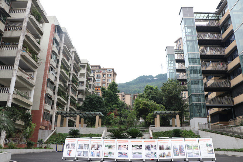 改造后的果研所家屬院小區(qū)。胥世鵬攝