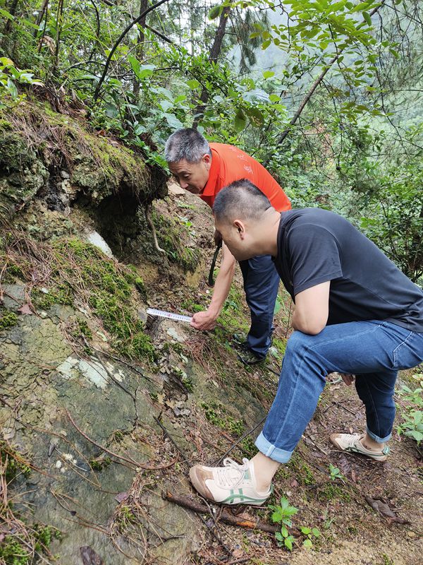 《查看滑坡后緣變化》。7月8日，黔江區(qū)啟動防汛II級應(yīng)急響應(yīng),黔江區(qū)金溪規(guī)劃和自然資源所會同重慶107地質(zhì)隊駐守地質(zhì)工程師在水田鄉(xiāng)水田社區(qū)8組呼眼埡查看滑坡體后緣變化情況。李偉攝