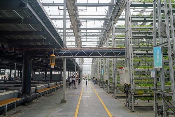 魚菜共生AI工廠。趙國淦攝