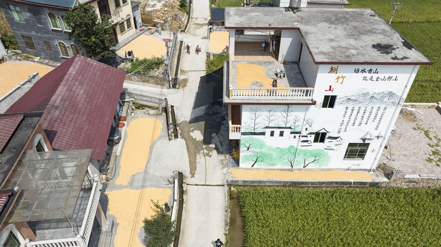 秀山土家族苗族自治縣洪安鎮(zhèn)棚竹山一景。胡程攝