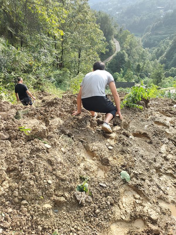 《上山容易下山難》。7月25日，黔江區(qū)突降暴雨,金溪鎮(zhèn)望嶺村木根坡發(fā)生滑坡險情。接報后金溪規(guī)劃和自然資源所會同重慶107地質(zhì)隊駐守地質(zhì)工程師迅速趕赴現(xiàn)場查看險情。李偉攝