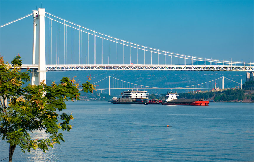 隨著長江萬州段水位上漲，庫岸落差縮小，港口的貨物運(yùn)輸更加便捷。侯本艷攝